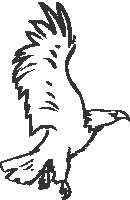 Eagle-001