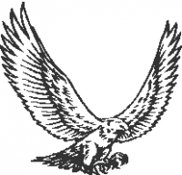 Hawk-Landing-01