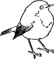 Robin-001