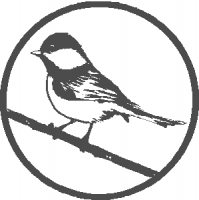 blue-tit-in-circle