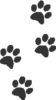 cat-paws-01