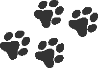 dog-paw-prints-01