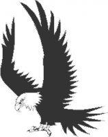 eagle-landing