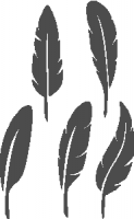 feathers