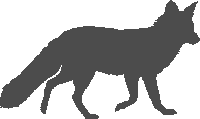fox-01