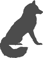 fox-04