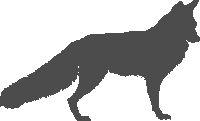 fox-06