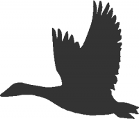 goose-flying-01
