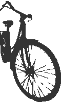 ladies-bicycle-02