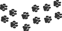 paws-on-path-02