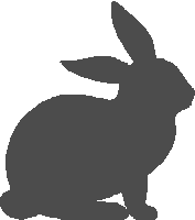 rabbit-01